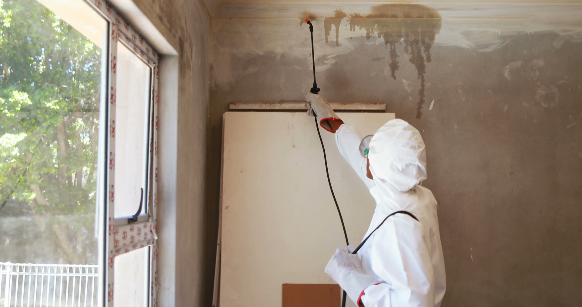 How to Choose a Pest Control Company in North Canton, Ohio