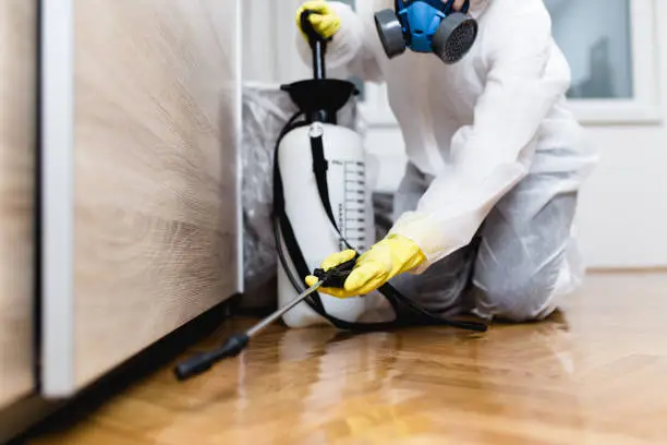 Bed bug inspection in an Akron rental property