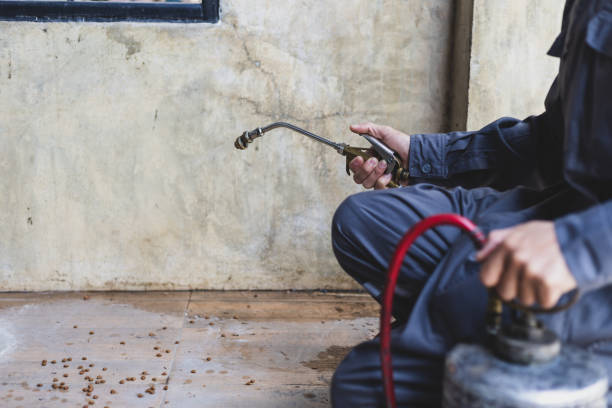 Termite inspector examining an Ohio home before closing