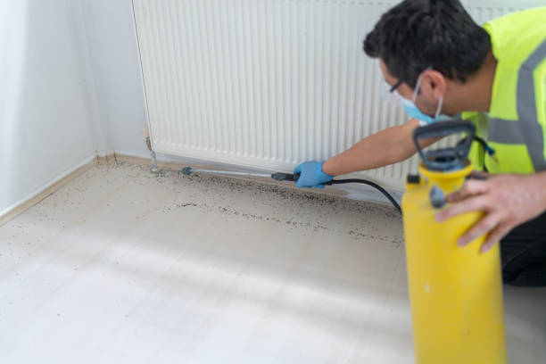 Technician removing a wasp nest from a house eave